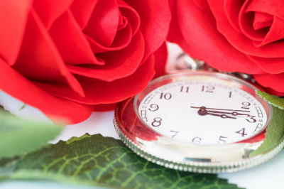 Bouquet 12 Rosas Tallo Corto, Ramo de Rosas Rojas para San Valentín, Rosas Rojas para Sant Jordi, Rosas Rojas, Envíos Florales Urgentes a Murcia